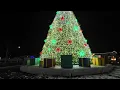 Rosemont Lights 2023