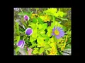 Download Lagu Thotiana Blue face X no one noticed | Tiktok version 