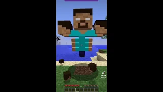 هيرو براين رسبن علي في ماينكرافت 