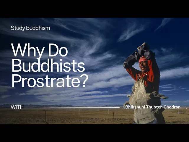 Why Do Buddhists Perform Prostrations? | Bhikshuni Thubten Chodron