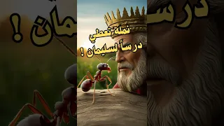 نملة صغيرة ت عل م النبي سليمان درس ا عظيم ا قصة مليئة بالحكمة 