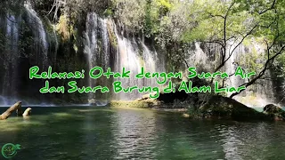 relaksasi pikiran otak dengan suara air dan suara burung di alam liar