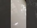 Litter Robot Stuck in Pinch Detect Mode