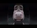 Donkey Staring into your soul