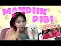 Download Lagu MANDIIN DOGGY PERTAMA !! TAKUT BANGET !!