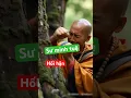 Download Lagu Sư Minh Tuệ đã biết trước điều gì hay chăng khi để 3 anh em về #thichminhtue