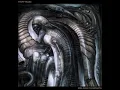 Aurorae - Triptykon