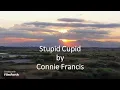 Connie Francis - Stupid Cupid