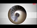 Animated Picture Circles In And Shrinks With Title