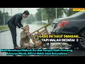 Lagu Mobil Mewahnya Ditabrak Gerobak Sampah Gadis Pemulung, Bukannya Marah, BOS ini Malah Jatuh Cinta