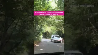A Lonely Drive In Falmouth Cornwall Tree Tunnel Road Falmouth Cornwall Uktravel Travel4welness 