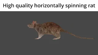 High Quality Horizontally Spinning Rat 