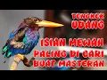 Download Lagu SUARA NGEKEK KAYA GINI PALING DI CARI BUAT MASTERAN #tengkekudang #kingfisher #cekakak #burungviral