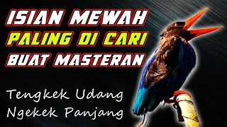 Download SUARA NGEKEK KAYA GINI PALING DI CARI BUAT MASTERAN #tengkekudang #kingfisher #cekakak #burungviral MP3