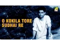 Download Lagu O Kokila Tore Sudhai Re | Baghini | Bengali Movie Song | Manna Dey