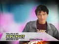Download Lagu Adi S Pasaribu - Sipaingot (Official Music Video)