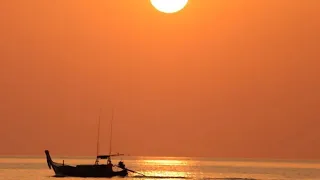 The Cruising Kiwis is live