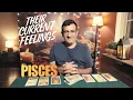 Pisces - Their current feelings for you right now