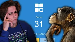 breaking the chimp test world record