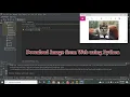 download an image with get request from web URL in python