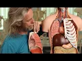 What organs lie under which ribs