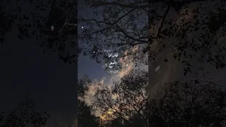 اغنيه فلربما اتسع المضيق و ربما Reel فولو بدون موسيقى تصميمي حالات واتس اكسبلورفولو All 