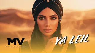 Descarcă Manelele Viitorului - Ya Leil MP3 gratuit - Muzica123