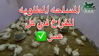 المتر بيشيل كام فرخه المساحه المطلوبه لكل عمر عند الفراخ 