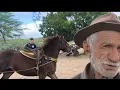 Download Lagu VAQUEIRO ZÉ IMPERIANO BOTA UM VAQUEIRO PARA DOMAR SUA ÉGUA EM OLIVEDOS NA PARAÍBA