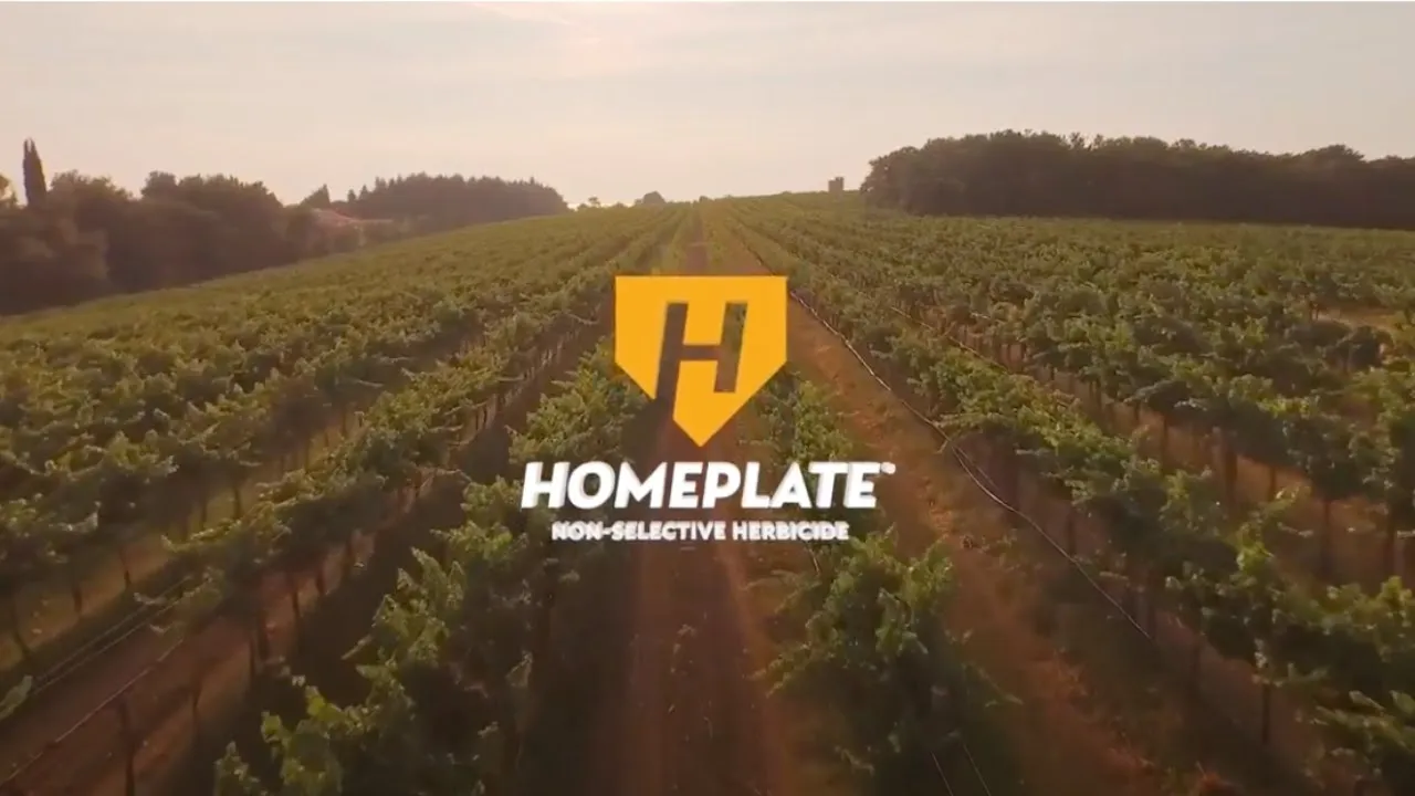 HomePlate Non-Selective Weed Killer
