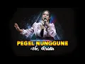 Download Lagu PEGEL NUNGGUNE - KRISTIN || YOUNINK MUSIK Sabtu 13 Januari 2024
