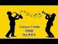 Download Lagu Cotton Fields Saxophone