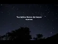Alejandro Sanz - La Fuerza del Corazon Letra