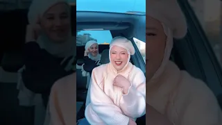 تريند باشا اعتمد     دندنها