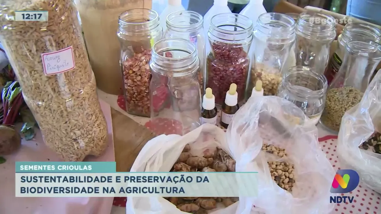 Sementes crioulas: sustentabilidade e preservação da biodiversidade na agricultura em Chapecó