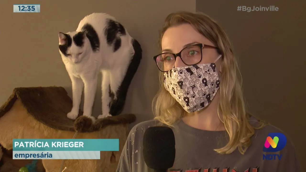 Voluntários dão lares temporários para animais resgatados que esperam por adoção