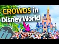 50 Ways to Avoid the Crowds in Disney World