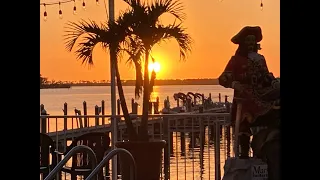 Marker 8 night - Dunedin FL