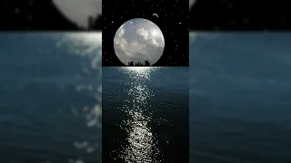 وكلهم آتيه يوم القيامة فردا قرآن كريم عبدالرحمن مسعد 