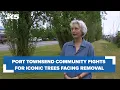 Port Townsend community fights for iconic trees facing removal