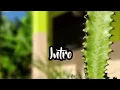 Download Lagu My Video masyitoh karaoke