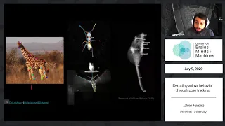 Decoding Animal Behavior Through Pose Tracking