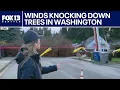 Strong winds knock down trees cause widespread power outages in WA