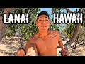 Exploring LANAI - Hawaii's LEAST TRAVELED ISLAND