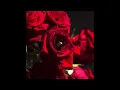 raveena - hypnosis (slowed)