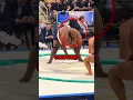 Download Lagu Size Doesn't Win in Sumo! (@dfroemer) #shorts