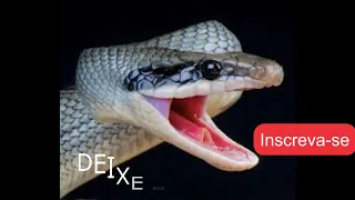 ORAÇÃO INÉDITA LIVRE SE DO INIMIGO!!!
