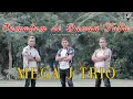 Download Lagu SEMALAM DI DANAU TOBA || MEGA J TRIO || Cipt.Suryanto Siregar