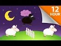 Baa Baa Black Sheep Lullaby for Babies to Go to Sleep - Soothing Music for Restful Sleep