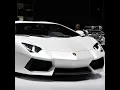 Konfuz--------Lambo